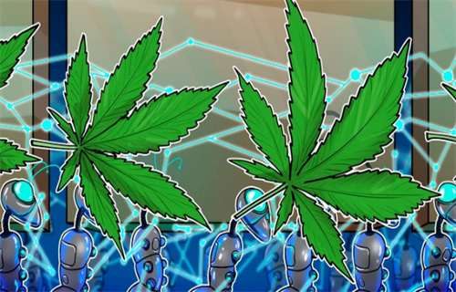 加州大麻生产商采用区块链来追踪其杂草