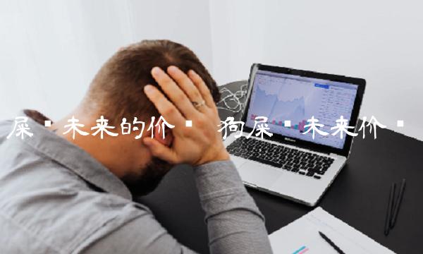 屎币未来的价值插图 屎币未来的价值