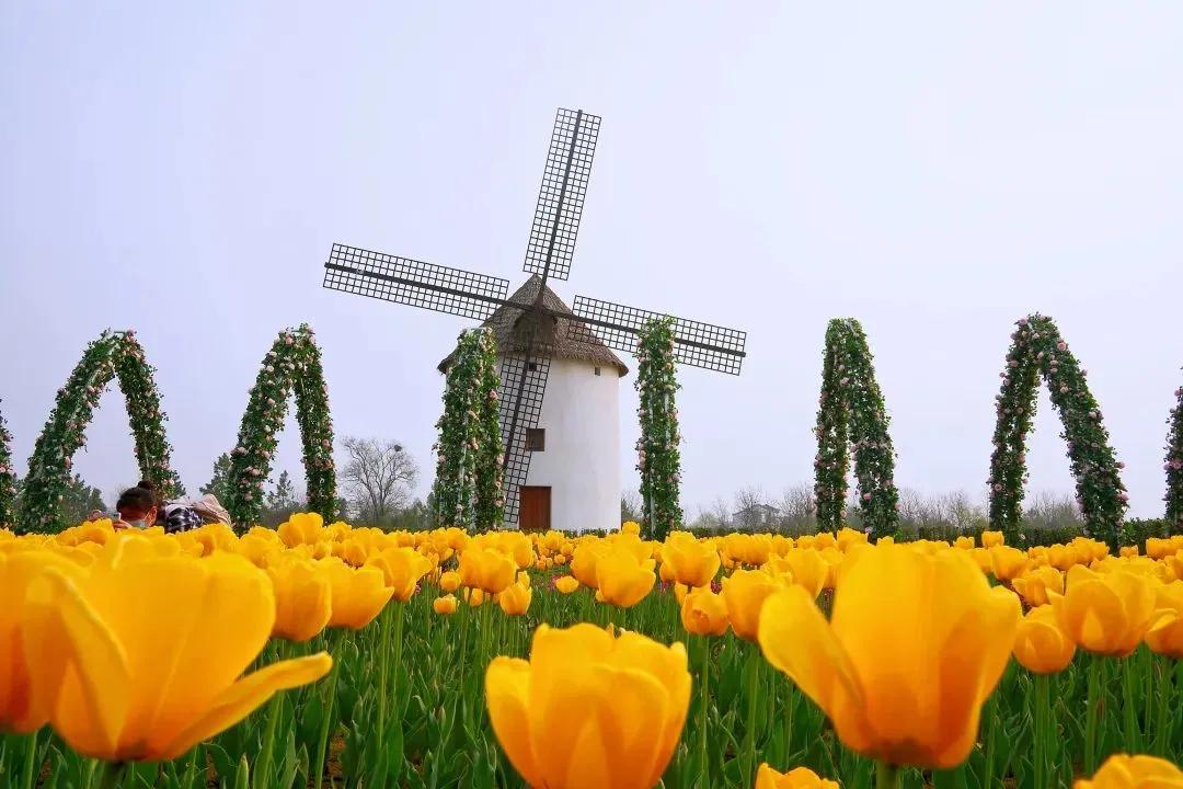 理财买基金本金会亏本吗（理财买基金亏了）6