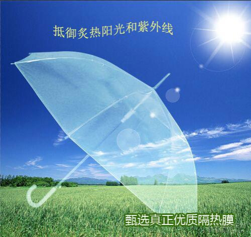 雷朋汽车膜(雷朋车膜)