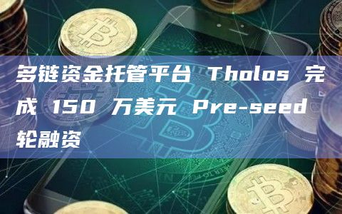 多链资金托管平台 Tholos 完成 150 万美元 Pre-seed 轮融资