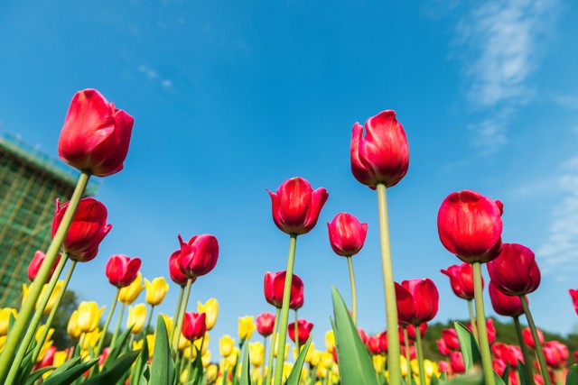 学理财的方法（学理财的方法和技巧）