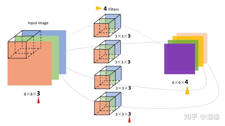 cnn是什么（bbc和cnn是什么）6