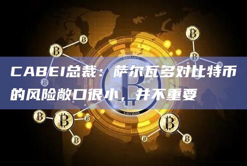 CABEI总裁:萨尔瓦多对比特币的风险敞口很小,并不重要插图 CABEI总裁:萨尔瓦多对比特币的风险敞口很小,并不重要