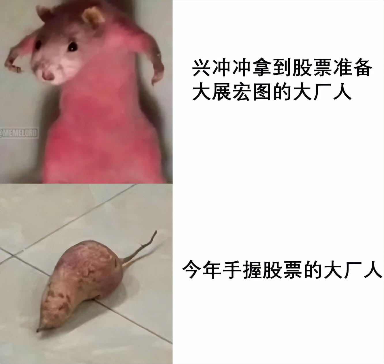 基金天天跌会把钱亏完吗（基金一直下跌,会不会把钱全部亏空）