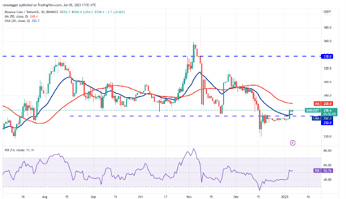 BNB现在怎么样了? BNB最新行情分析1