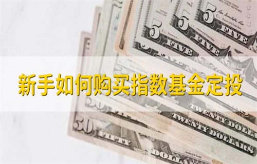 指数基金定投怎么购买? 指数基金定投方法