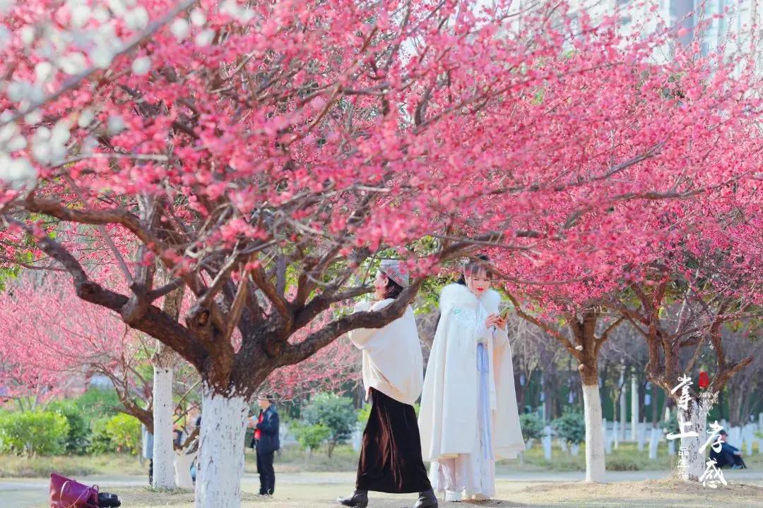 理财买基金本金会亏本吗（理财买基金亏了）7