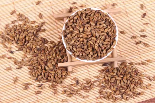 女性喝大麦茶的好处（女性喝大麦茶的好处浓还是淡）