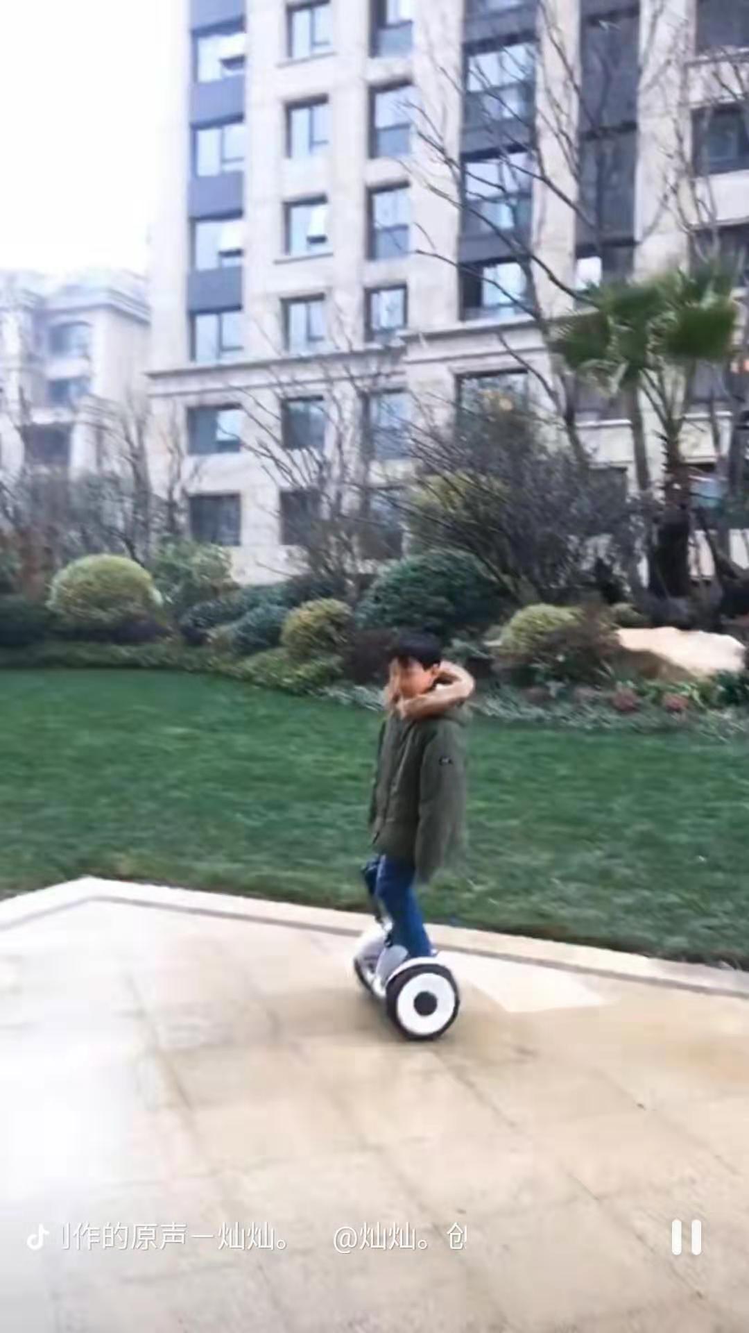 领奥和阿尔郎平衡车哪个好（领奥与阿尔郎平衡车哪个更好）