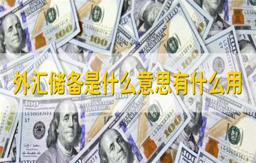 什么是外汇储备? 外汇储备是不是越多越好