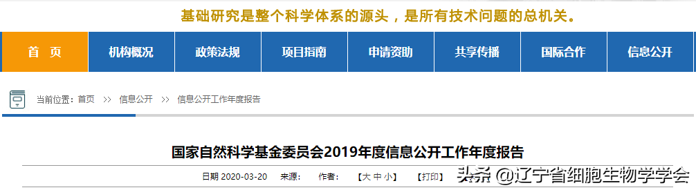 国家自然基金结题报告查询（国家自然科学基金结题报告查询）