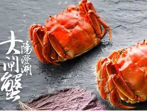 螃蟹热量高吗(螃蟹热量高吗会不会胖)