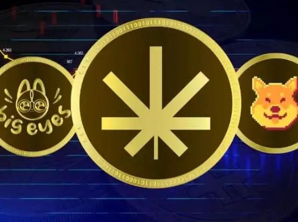 中本聪币什么时候开交易