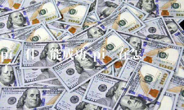 pi为什么能成功