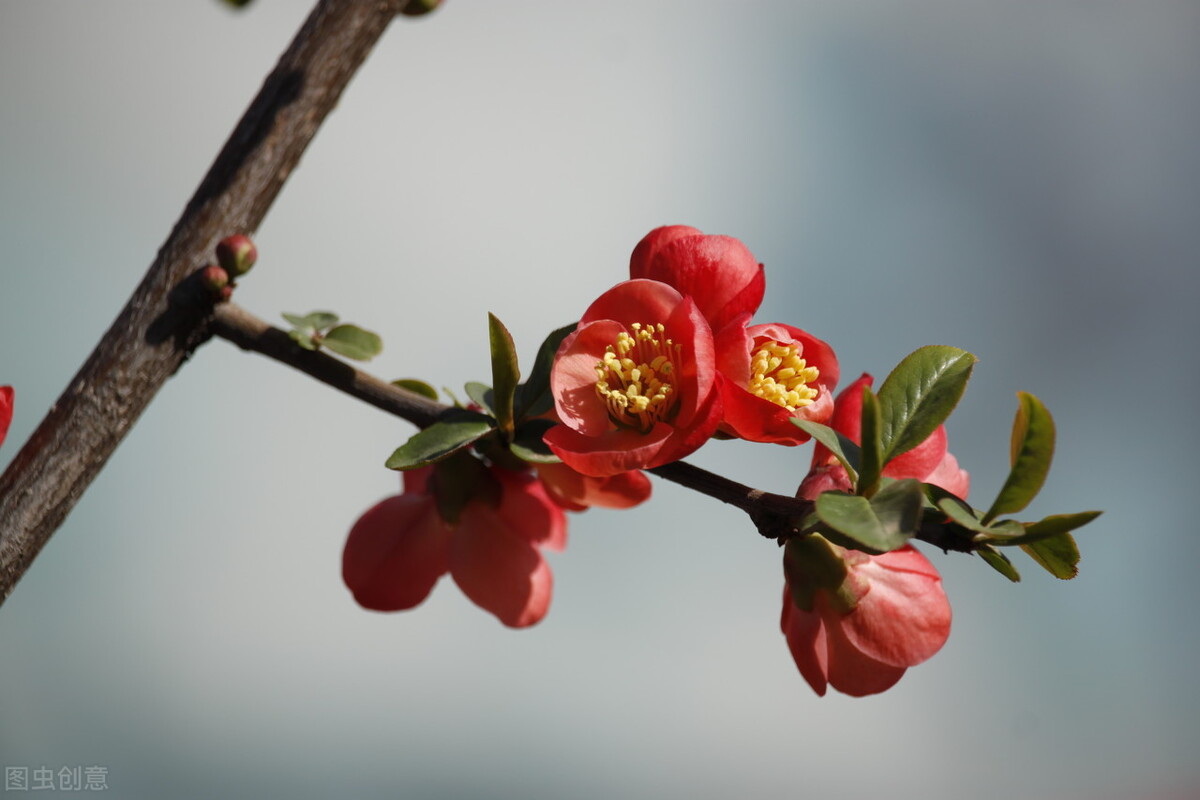 10元导师赚钱（日赚千元导师）