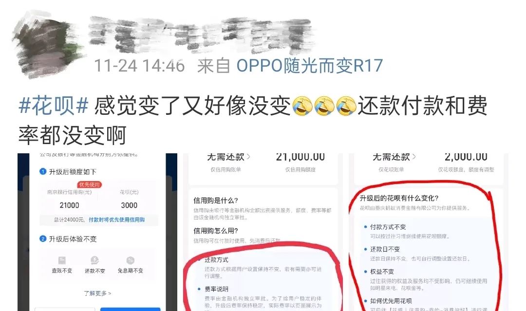 蚂蚁花呗（蚂蚁花呗属于哪种信用形式）