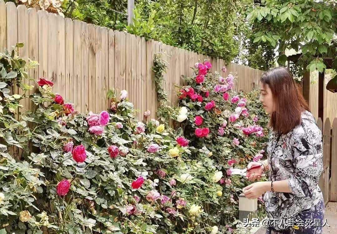 北京一套四合院多少钱（一套北京四合院要多少钱）