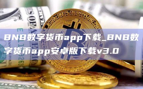 BNB数字货币app下载_BNB数字货币app安卓版下载v3.0