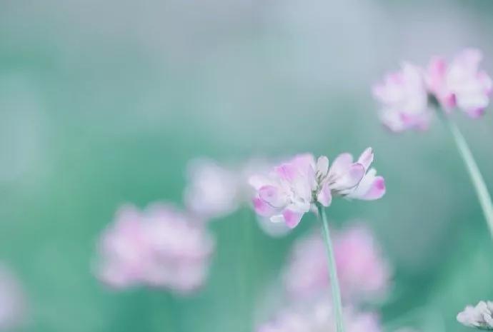 想学理财看什么书入手(如何理财看什么书)