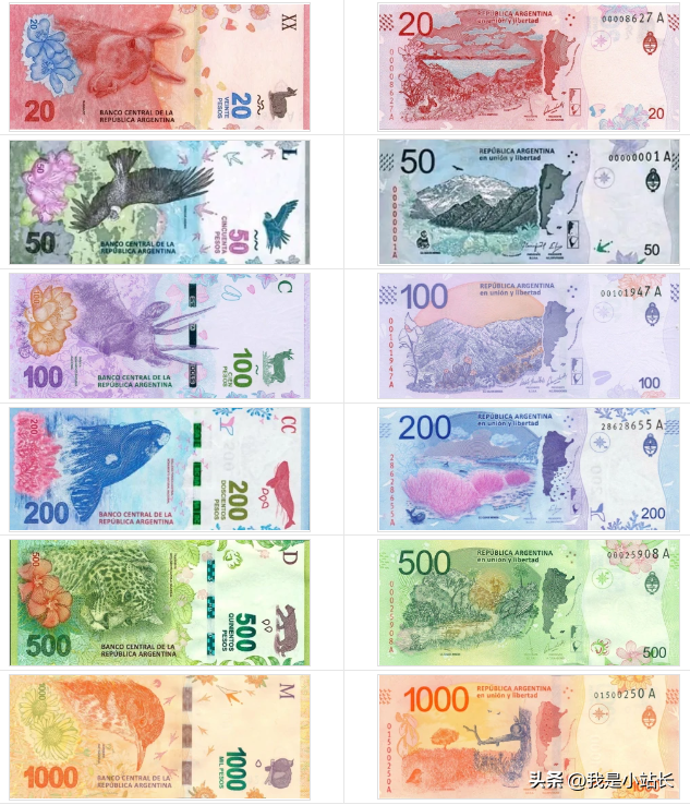 阿根廷货币与人民币的汇率（阿根廷货币与人民币的汇率换算）