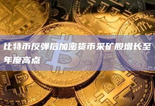比特币反弹后加密货币采矿股增长至年度高点插图 比特币反弹后加密货币采矿股增长至年度高点