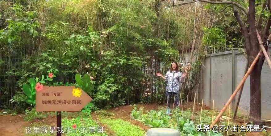 北京一套四合院多少钱（一套北京四合院要多少钱）