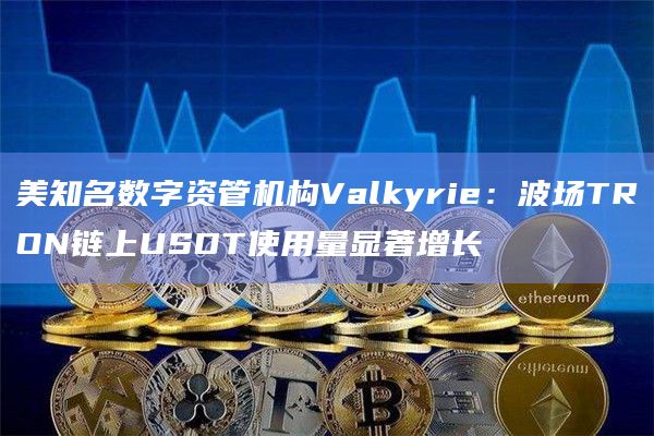 美知名数字资管机构Valkyrie：波场TRON链上USDT使用量显著增长