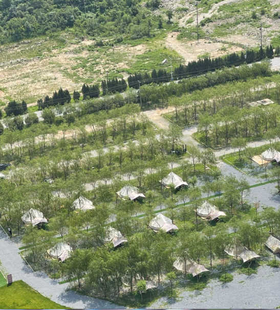 文华财经随身行下载（文华财经随身行下载app）