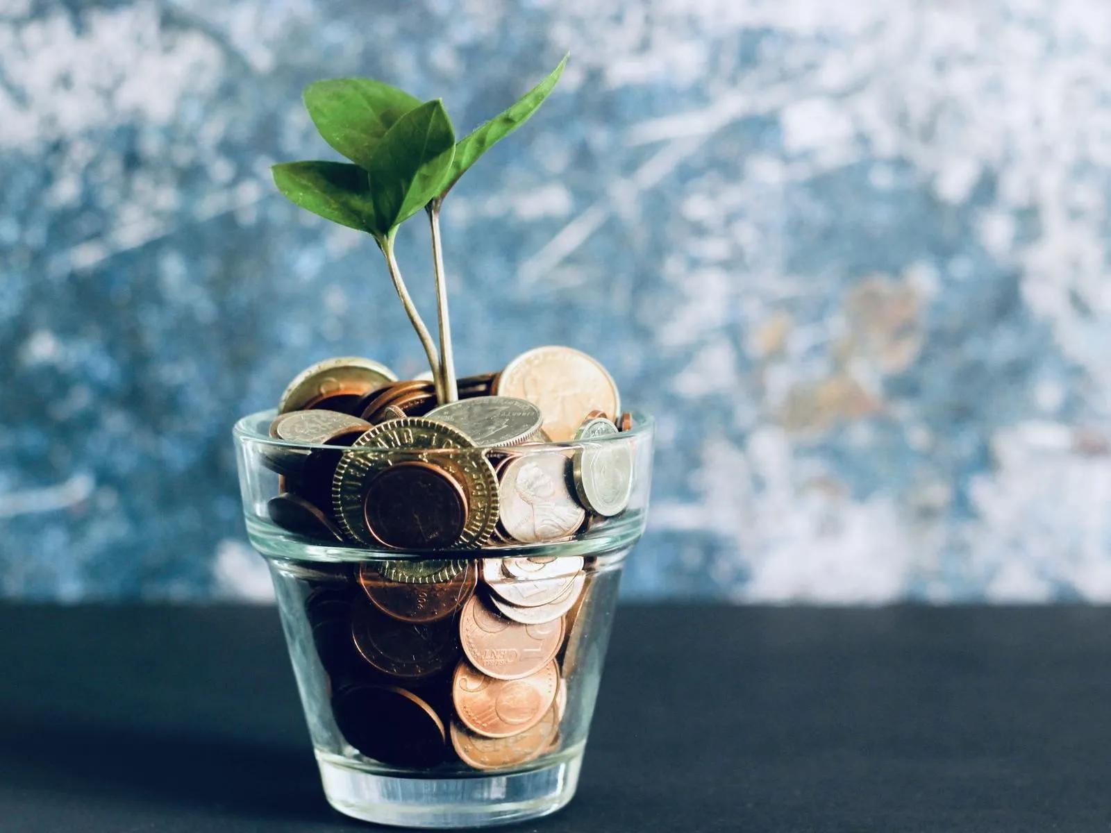 投资理财的方式有哪些高中必修一（理财必修课）