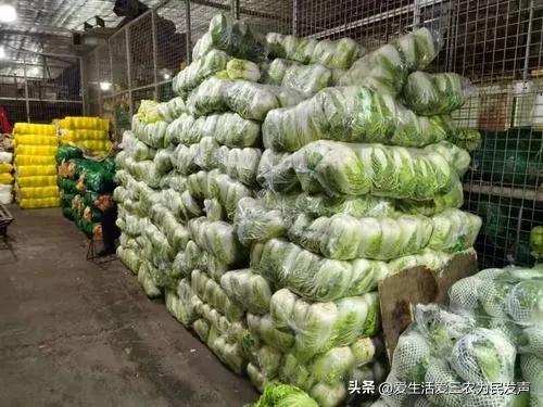 免费0投资赚钱平台（0投资赚钱软件下载）