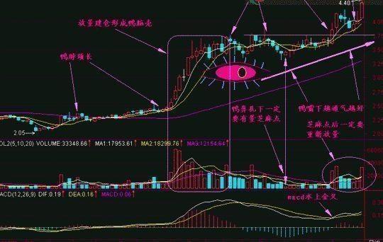 无为股票训练营（无为投资教育股票）