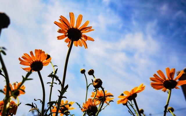 学理财的方法（学理财的方法和技巧）