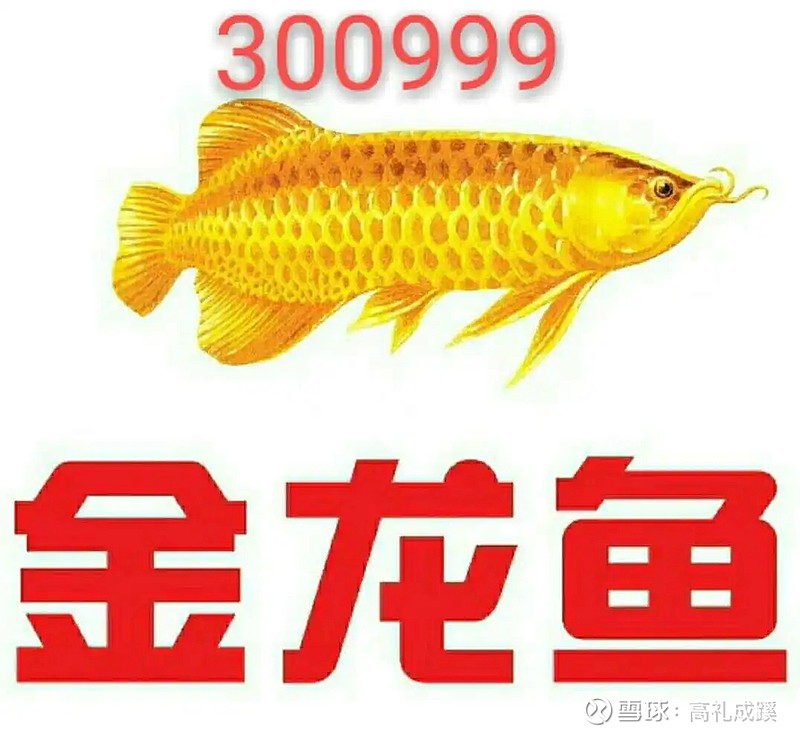 粮食股有哪些股票（粮食股有哪些股票6月22日）4