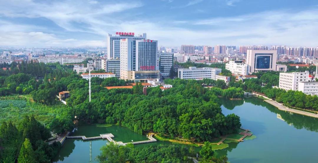 理财买基金本金会亏本吗（理财买基金亏了）