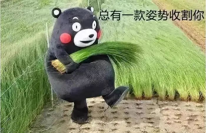 最好的基金代码（最好的基金代码是多少）