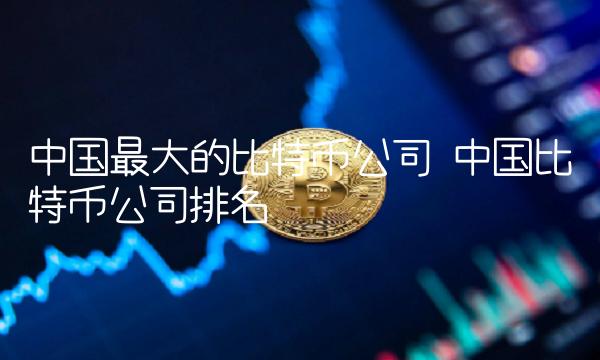 中国最大的比特币公司
