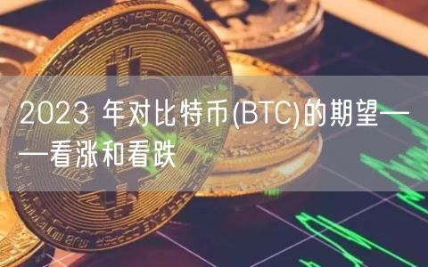 2023 年对比特币(BTC)的期望——看涨和看跌 2023 年对比特币(BTC)的期望——看涨和看跌
