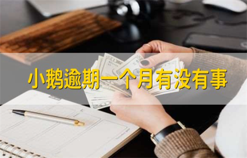 小鹅逾期一个月会怎么样? 贷款逾期怎么办