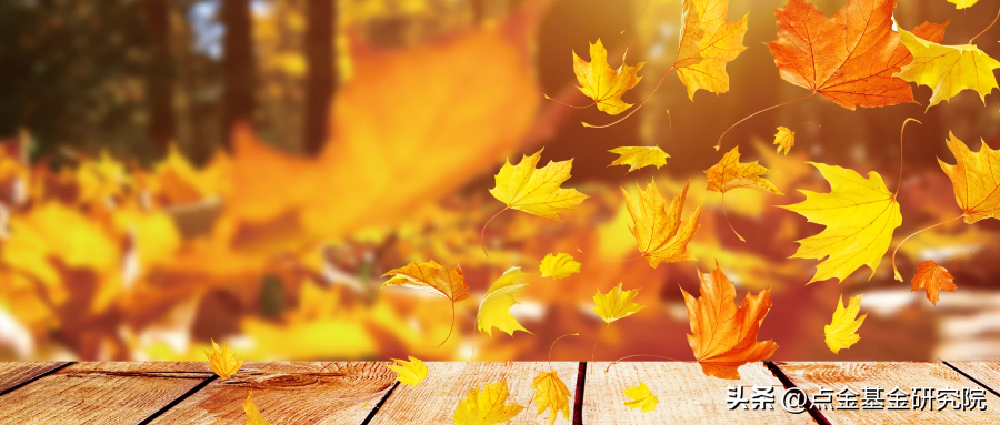 泉果基金公司怎么样（新泉基金公司怎么样）