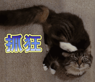 基金从业考试时间10月（十月基金从业考试时间）