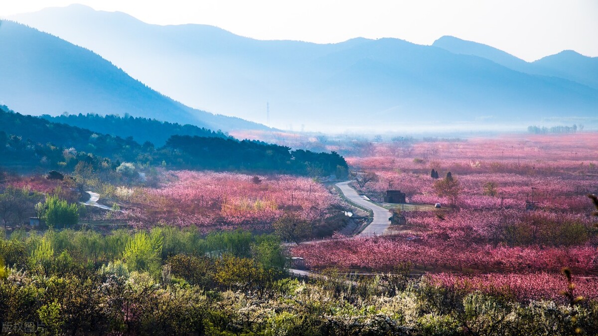 政府性基金和政府投资基金(政府性基金和政府投资基金 区别)