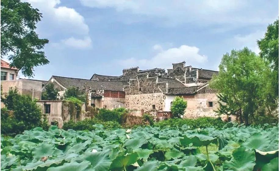 理财买基金本金会亏本吗（理财买基金亏了）3