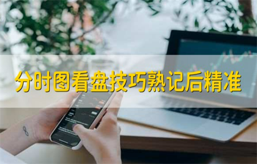 怎么观看分时图? 为什么股票分时图不显示了?