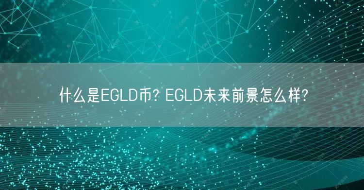 什么是EGLD币? EGLD未来前景怎么样?