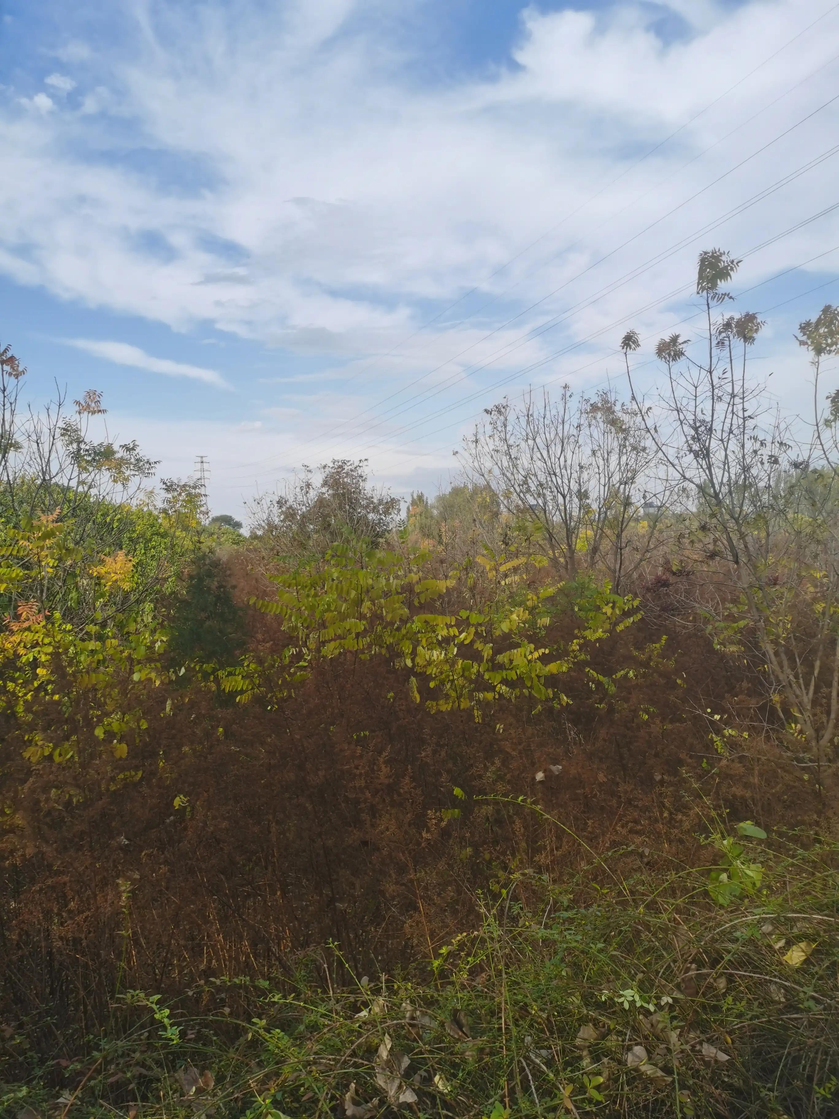 微视频能赚钱吗(微视频赚钱快吗)