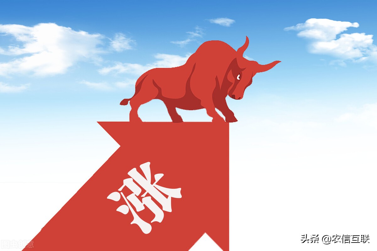 美豆粕（美豆粕期货实时行情新浪网）