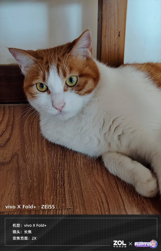 天天基金app下载官网电脑版（天天基金app手机版）