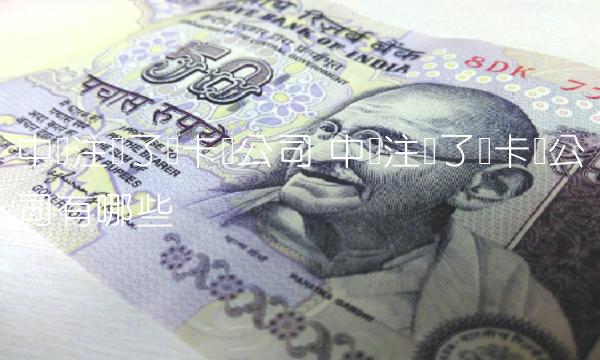 中国注册了维卡币公司有哪些