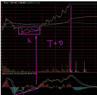t十0是什么意思啊